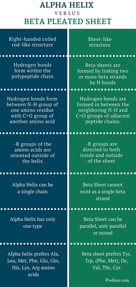 Difference Between Alpha Helix and Beta Pleated Sheet.